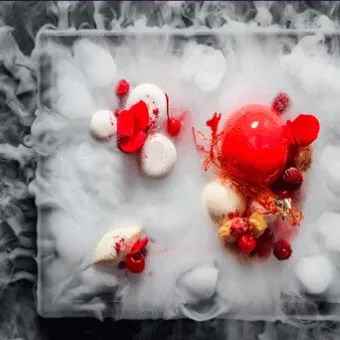 Gourmet Food Presentation