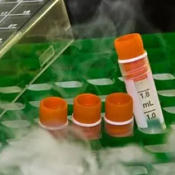 Vaccine & Medical Storage