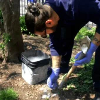 Non-Toxic Pest Control